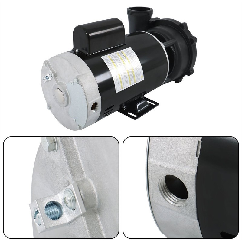 Executive 56-Frame 4HP Dual-Speed Spa Pump, 2in Intake, 2in Discharge gallery