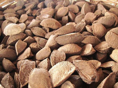 In Shell Brazil Nuts - 5 lb. - Treasured Harvest Brand gallery