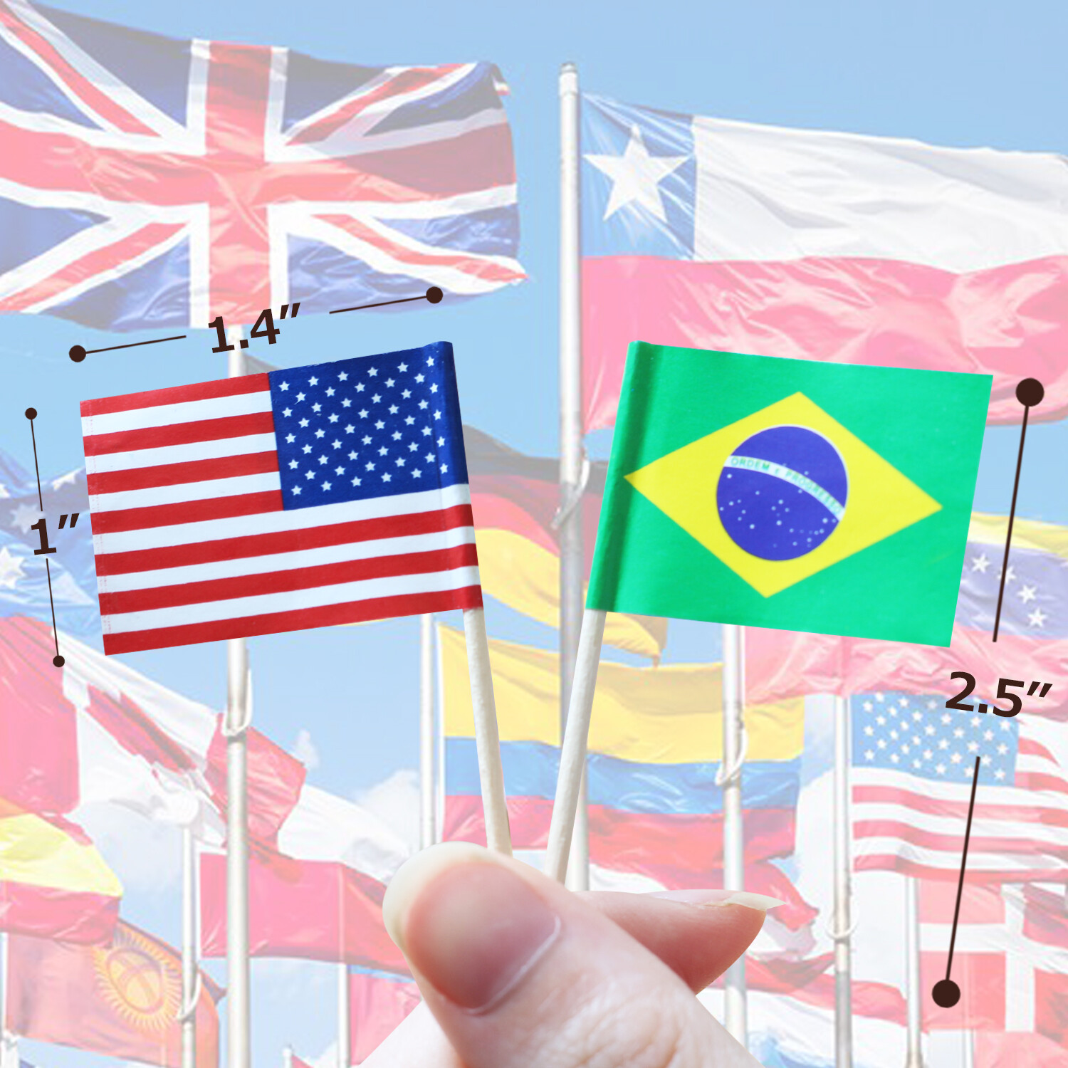 Anley Assorted 100 Different Countries Toothpick Flag Double Sided & Smooth Pick gallery