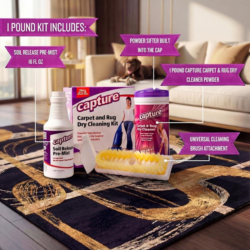 Professional Carpet Cleaning Solution - Stain & Odor Control gallery
