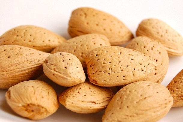 In Shell Almonds - 5 lb. - Treasured Harvest Brand gallery