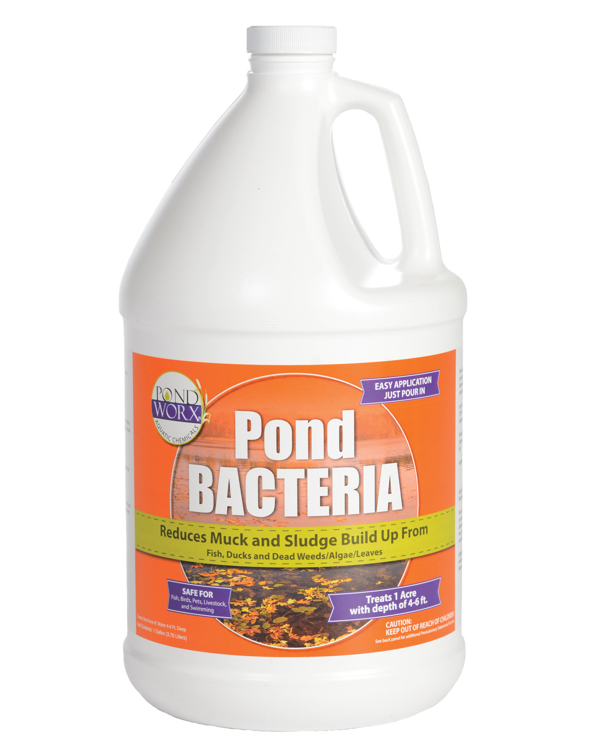 Pondworx Pond Bacteria - Formulated for Large Ponds, Water Features and Safe gallery