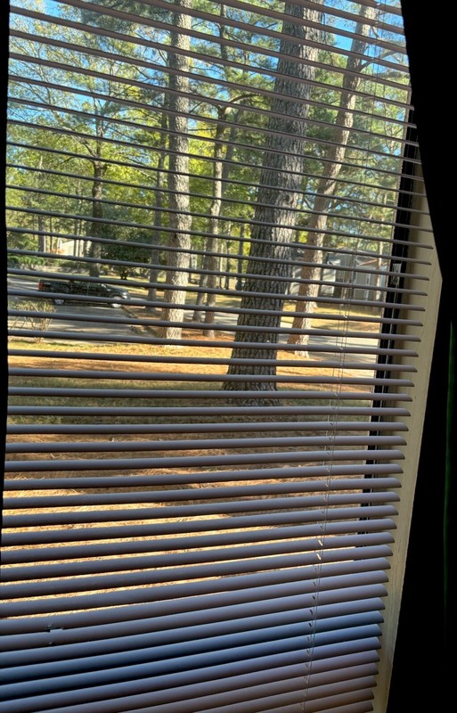 White vertical 63 width Cordless Vinyl Blinds for bedroom and living room gallery