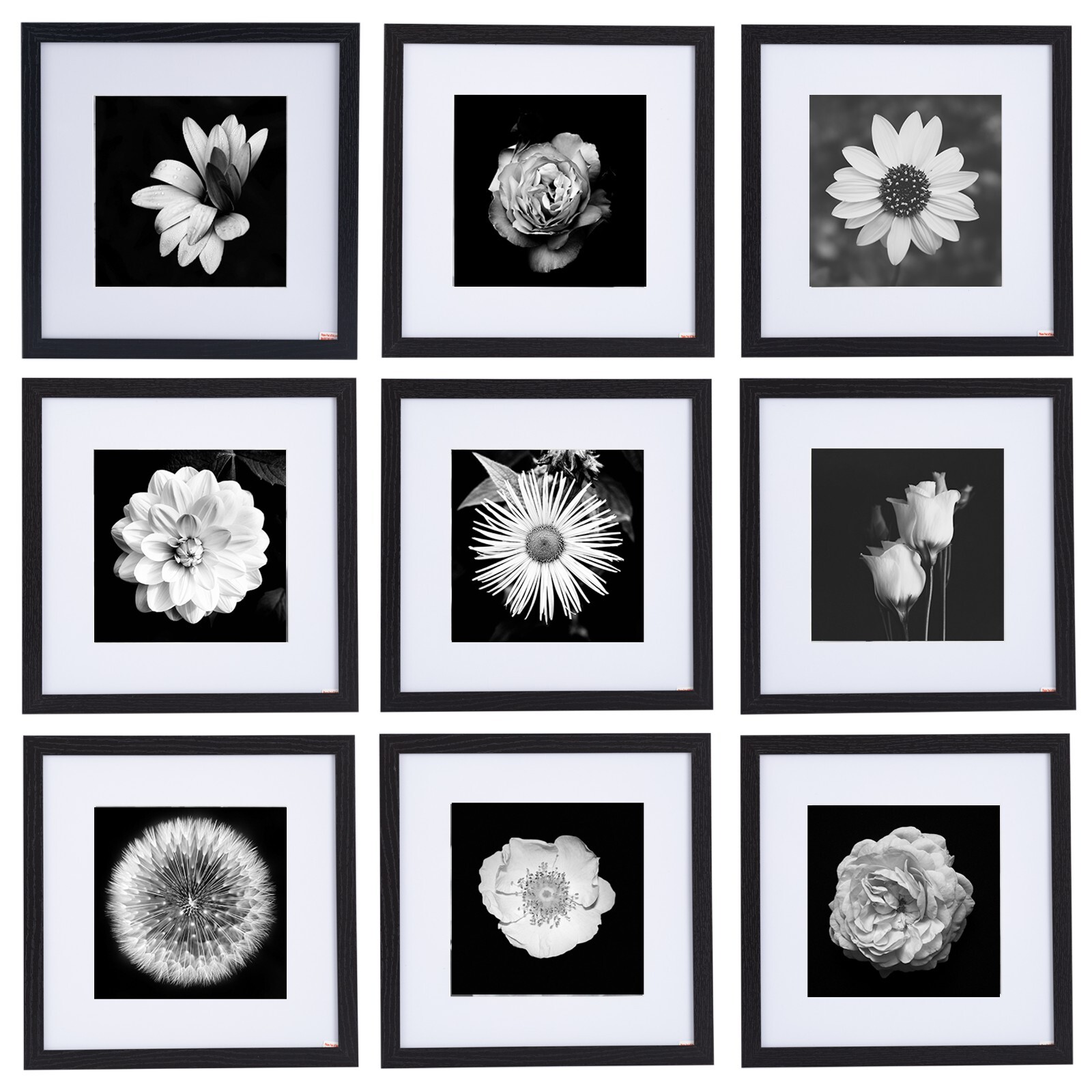 12x12 Picture Frame -Black - Display Pictures 8x8 Photo with Mat -Gallery Square gallery
