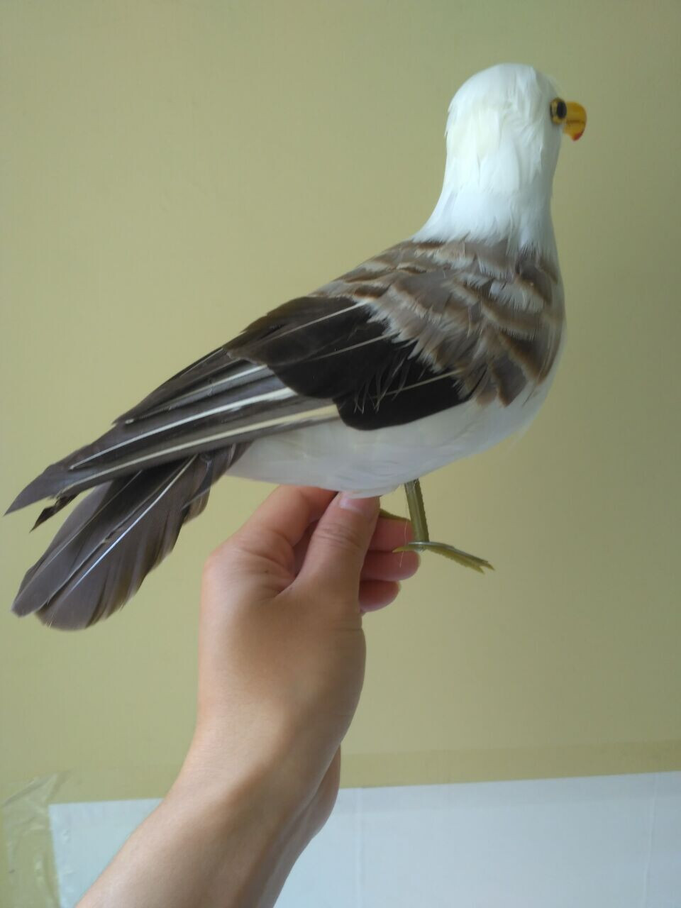 simulation seagull model foam&feather gray standing seagull bird gift about 30cm gallery
