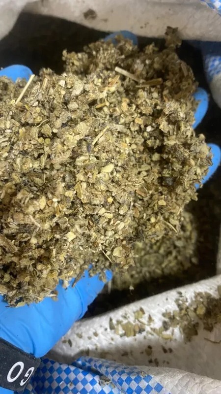 Mullein Leaf - 8 ounces gallery
