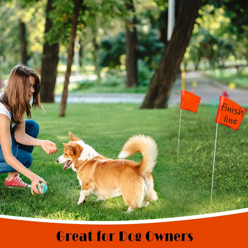 100Pack Fluorescent Orange Marking Flags, Writable | 15X4X5 Inch, Yard Flags for gallery