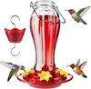 Glass Hummingbird Feeder for Outdoors, 18oz Hanging Nectar Holder with Ant Mo... gallery