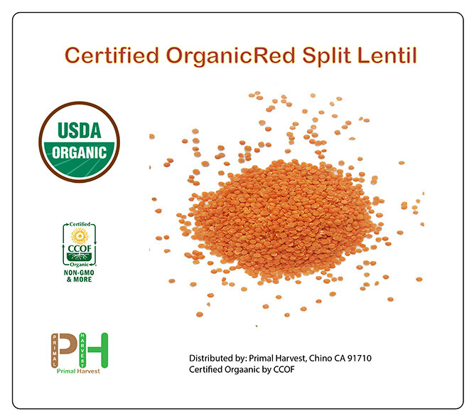 Organic Red Split Lentils aka Masoor Dal low calories rich in Iron and Protein gallery
