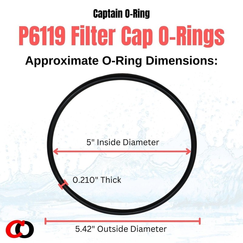 Captain O-Ring Replacement P6119 O-Ring for Bestway Flowclear Pump Filter Cap... gallery