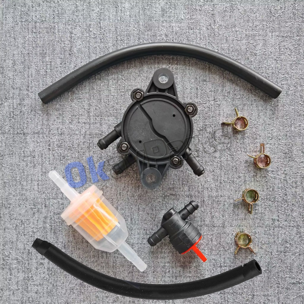 Fuel Pump & Fuel Filter For Replaces Cub Cadet BS-808656 Fuel Pump gallery