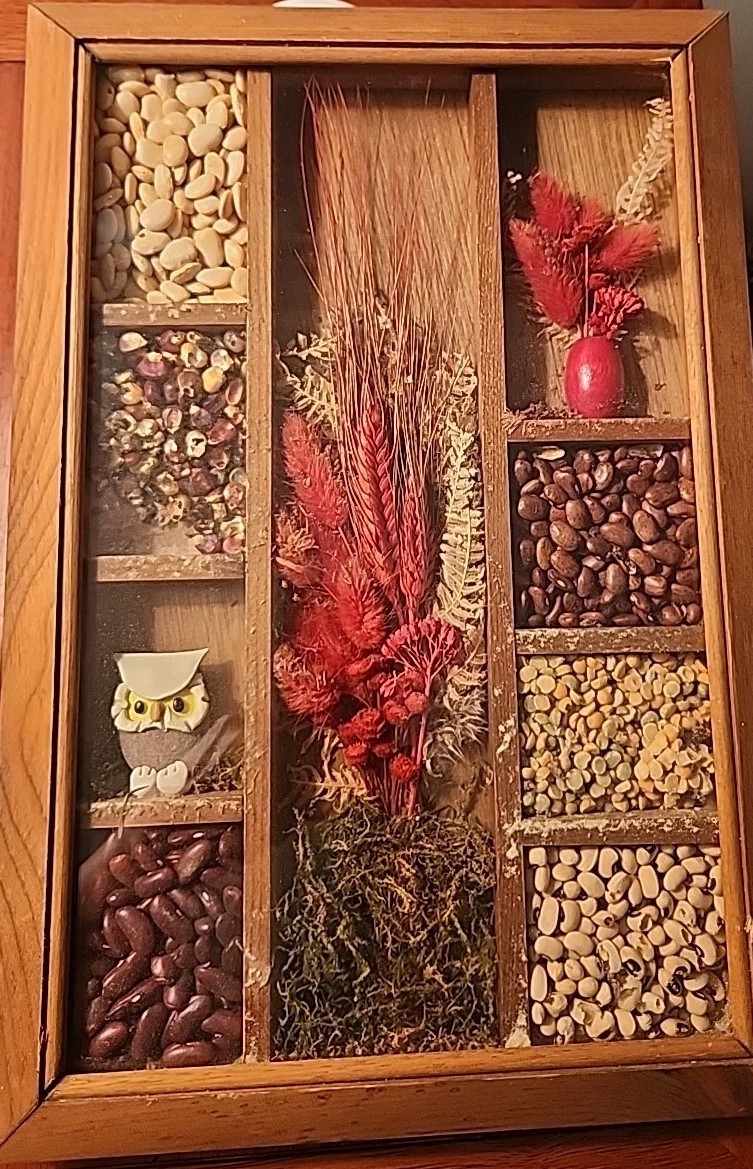 Vtg Wooden Kitchen Countrycore Shadow Box Seeds Owl Beans Etc. 15x10x2 70's gallery