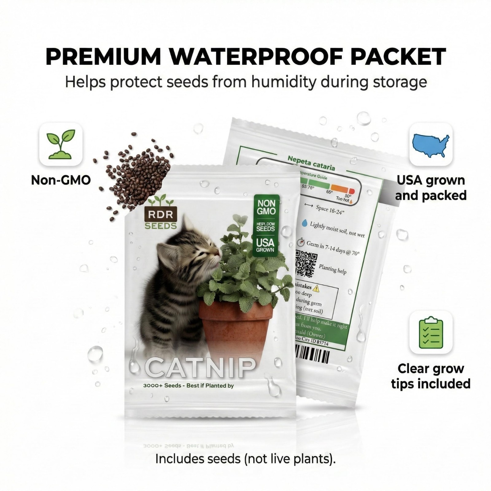 3000 Catnip Seeds for Planting Heirloom Non-GMO Herb Indoor Outdoor gallery