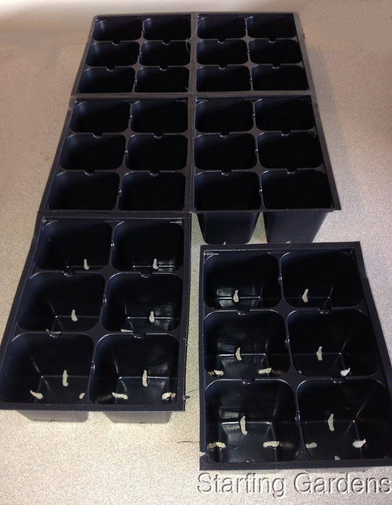Seed Germination and Propagation Trays (Qty.150) 900 Total Cells gallery