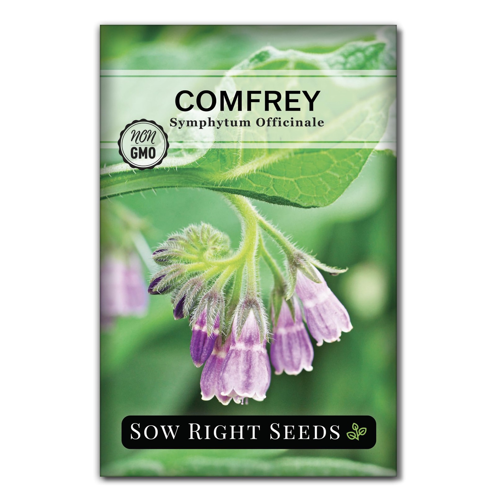 - Comfrey Seeds for Planting - Non-GMO Heirloom Packet with Instructions to P... gallery