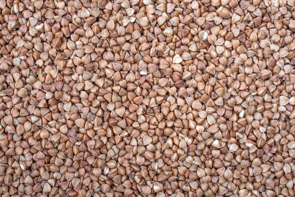 Buckwheat Seeds for Planting - Cover Crop, Grain, Bee Pasture, Pollinator, Wildl gallery