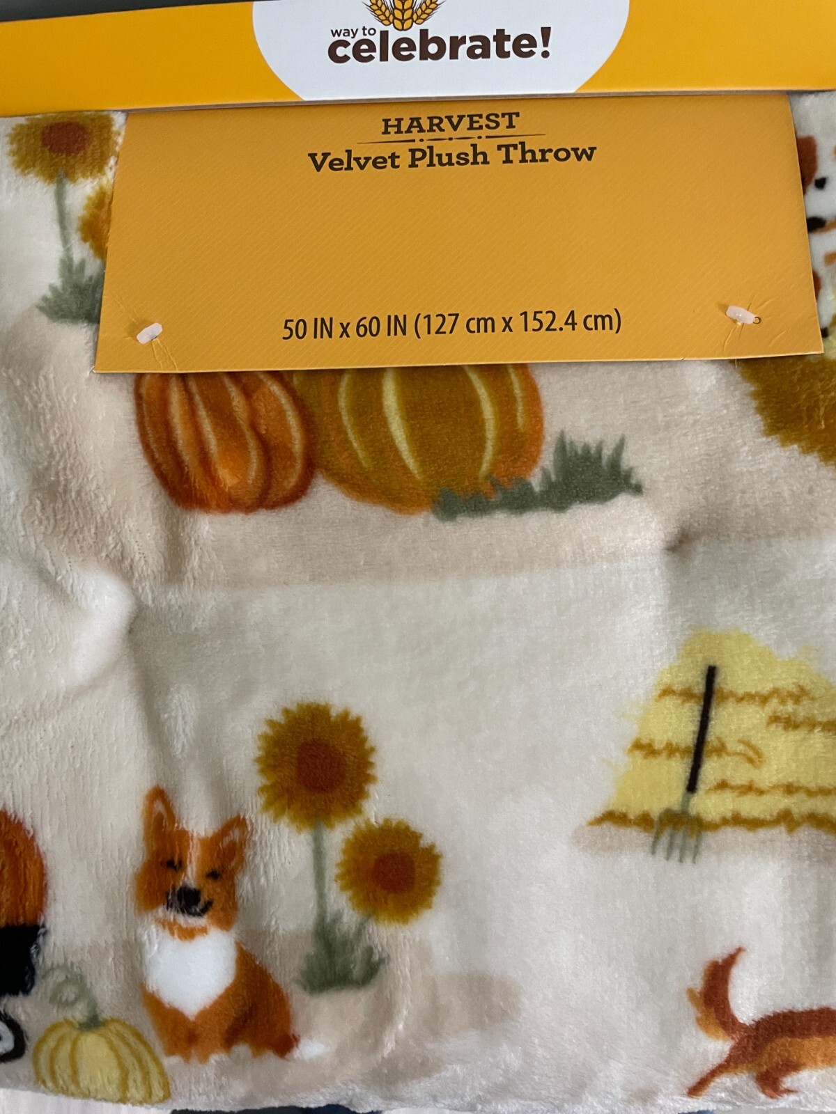 NWT HARVEST PUMPKIN PATCH VELVET PLUSH THROW BLANKET 50 X 60 gallery