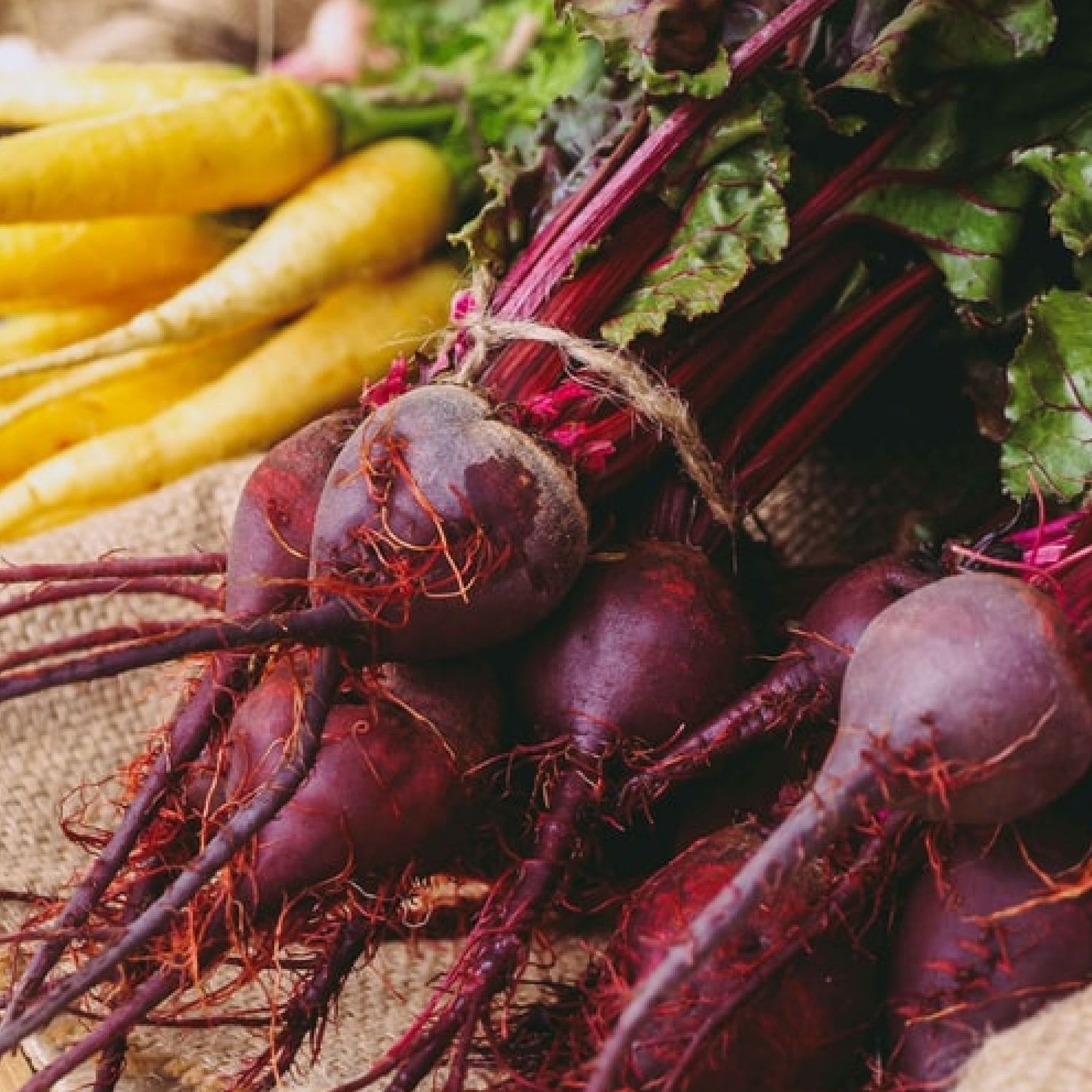 Detroit Dark Red Beets - Seeds - Organic - Non Gmo - Heirloom Seeds gallery