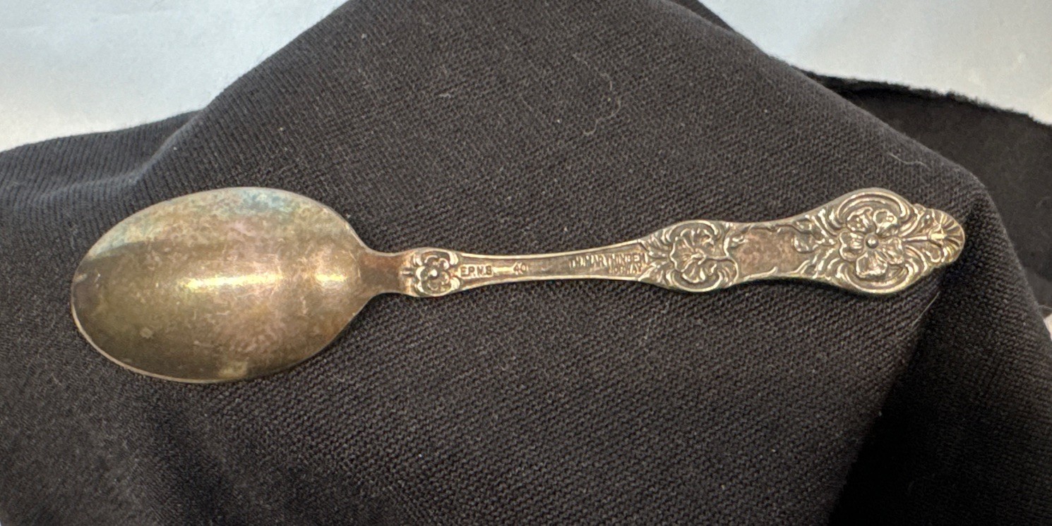TH. Marthinsen WILD ROSE Silverplate Norway EPNS Demitasse Spoon gallery