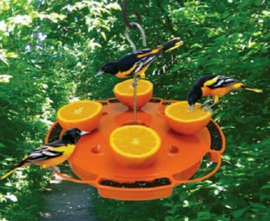 ULTIMATE ORIOLE FEEDER SE905 FEED NECTAR, JELLY & ORANGE HALVES AT SAME TIME! gallery