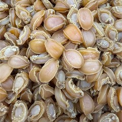 Premium Dried Abalone 80 头 野生南美小干鲍鱼 8oz – 16 oz