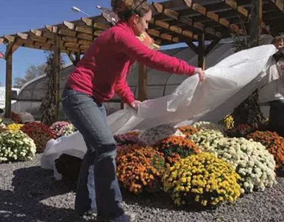 Dewitt N-Sulate Plant Frost Protection Cover Fabric 1.5 oz Weight 12" x 250ft gallery