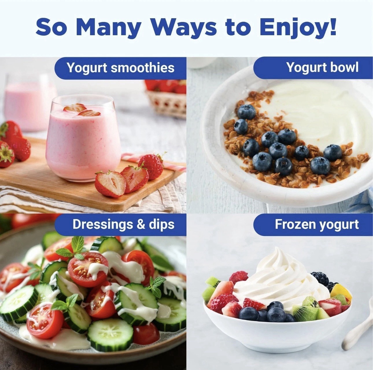 Probiotic Yogurt Maker with Adjustable Temperature & Time Control Make Trill... gallery