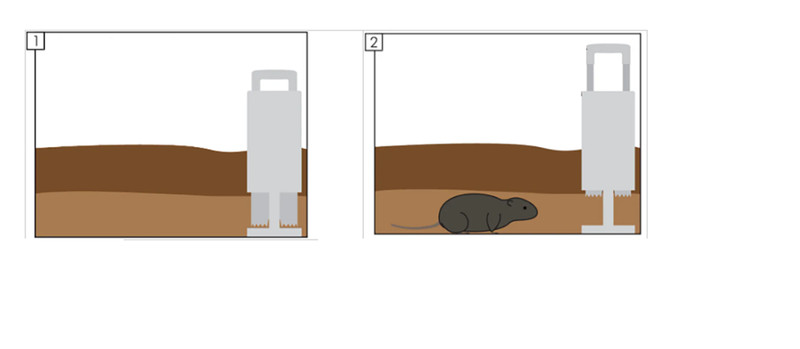 Gopher Mole Vole Tunnel Trap Sensitive Trapper Eco Friendly Catcher for Outside. gallery