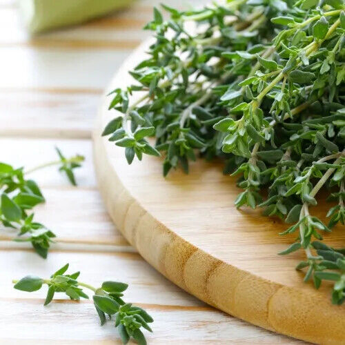 Thyme Seeds | Heirloom / Non-GMO | Free Shipping | Herb Seeds | Seed Store 1160 gallery