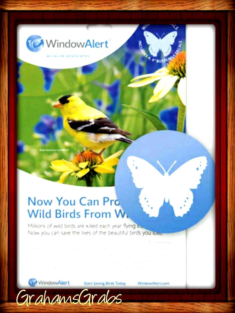 WINDOW ALERT ANTI-COLLISION CLINGS BUTTERFLY DECALS PREVENT WINDOW STRIKES gallery