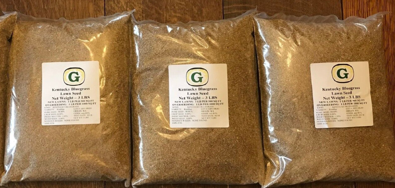 Kentucky Bluegrass Grass Seed - 9 lbs - Direct from Grower - Beautiful Lawn! gallery