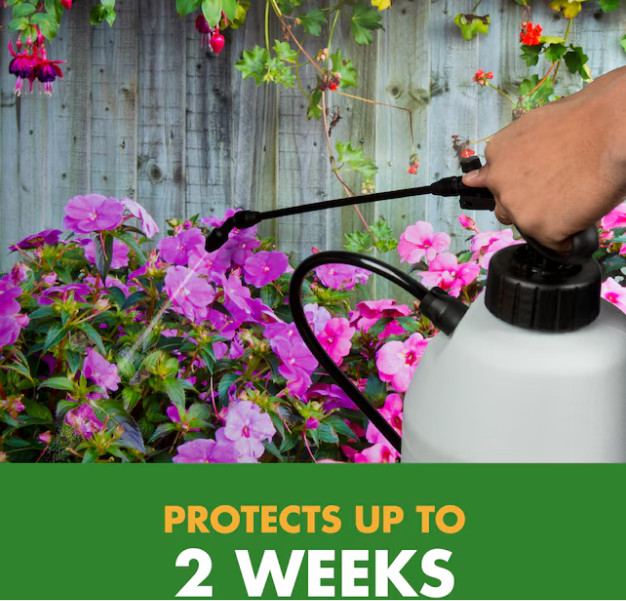 6-PACK Spectracide Immunox Multi-Purpose Fungicide Spray Concentrate gallery