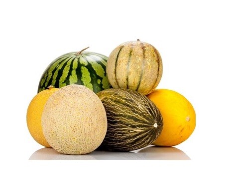 Melon Seeds multiple Varieties Watermelon Musk Cantelope Crenshaw Canary Asian gallery