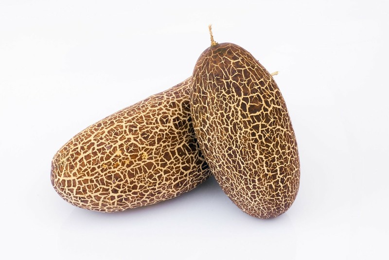 Heirloom Vegetable Seeds - ‘Sikkim’ -Rusty Cucumber-20 Seeds -Cucumis sativus gallery