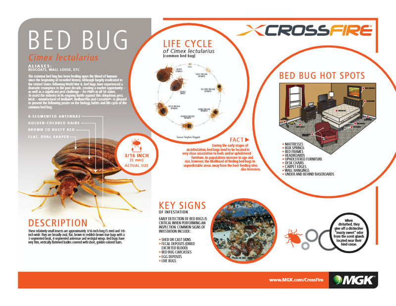 13 oz CrossFire Bed Bug Control Concentrate Kill Bedbugs and Eggs ~ Cross Fire gallery
