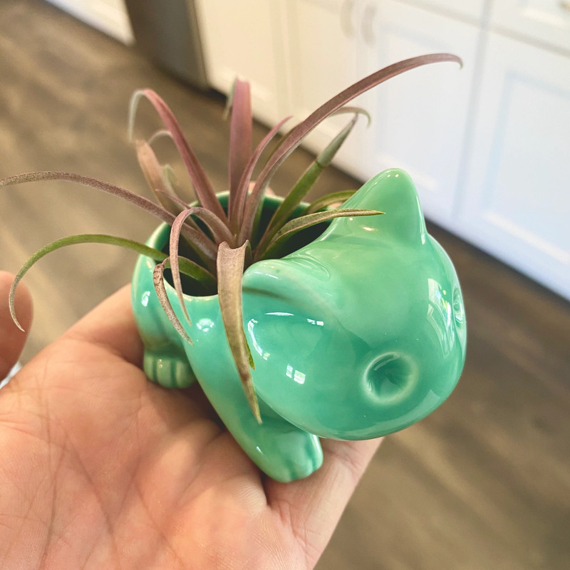 Bulbasaur Planter br (Includes Drainage Hole For Non Air Plants) gallery