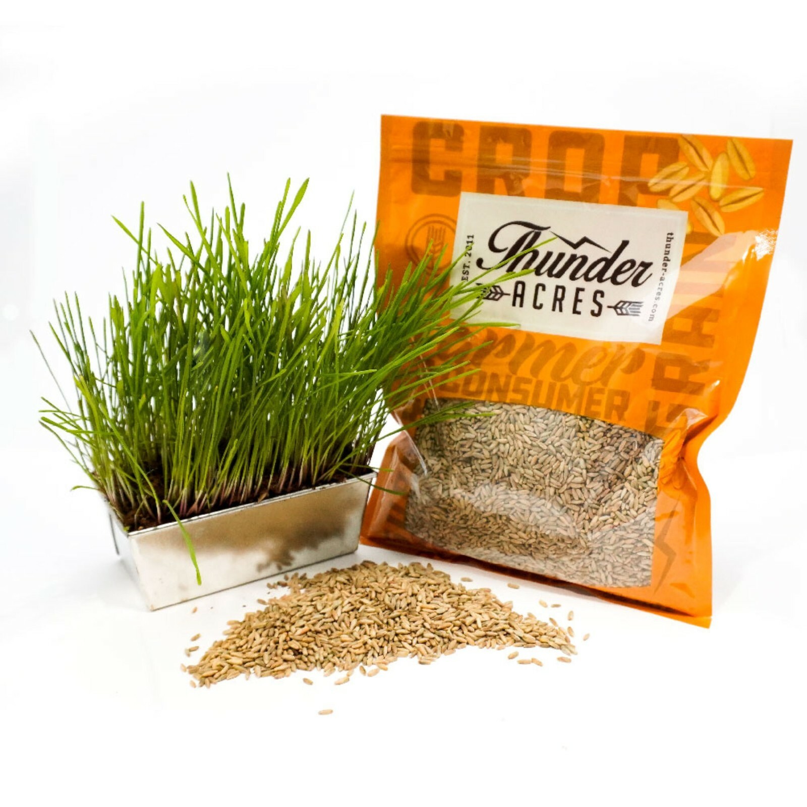 Thunder Acres Organic Winter Rye Seeds, Non-GMO gallery