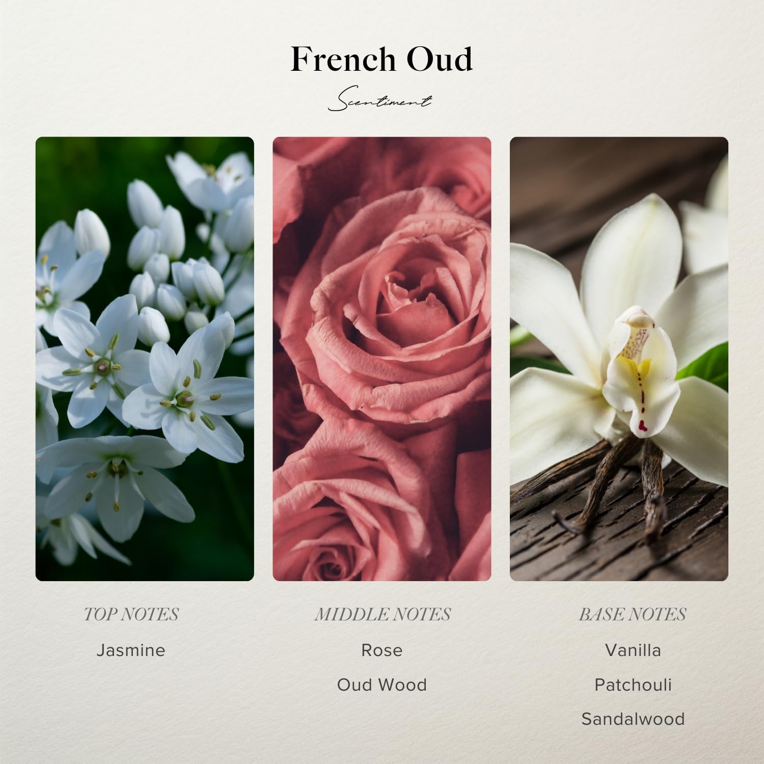 Scentiment French Oud Designer Collection Diffuser Oil – Jasmine, Rose, Oud W... gallery