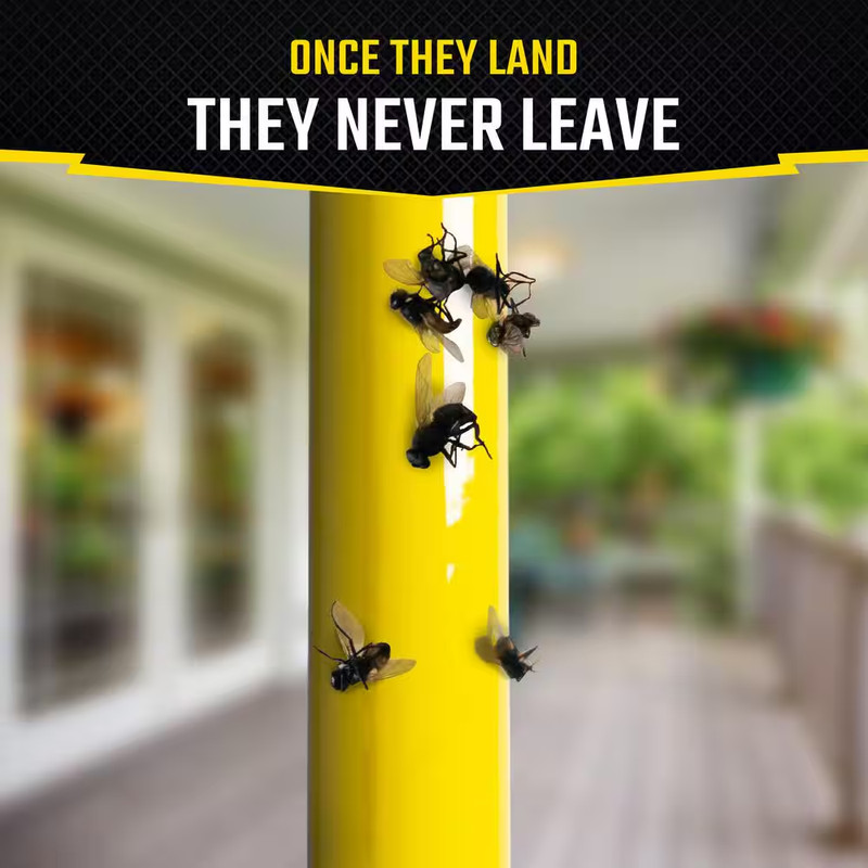 Fly Stick Insect Trap gallery