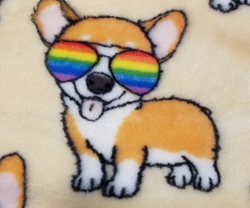 Corgi Rainbow Sunglasses Blanket Throw 50x70 Inches Very Soft Plush New gallery