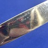 2 Pfaltzgraff Providence Dinner Knives 9" Satin Stainless 18/8 Glossy Flatware gallery