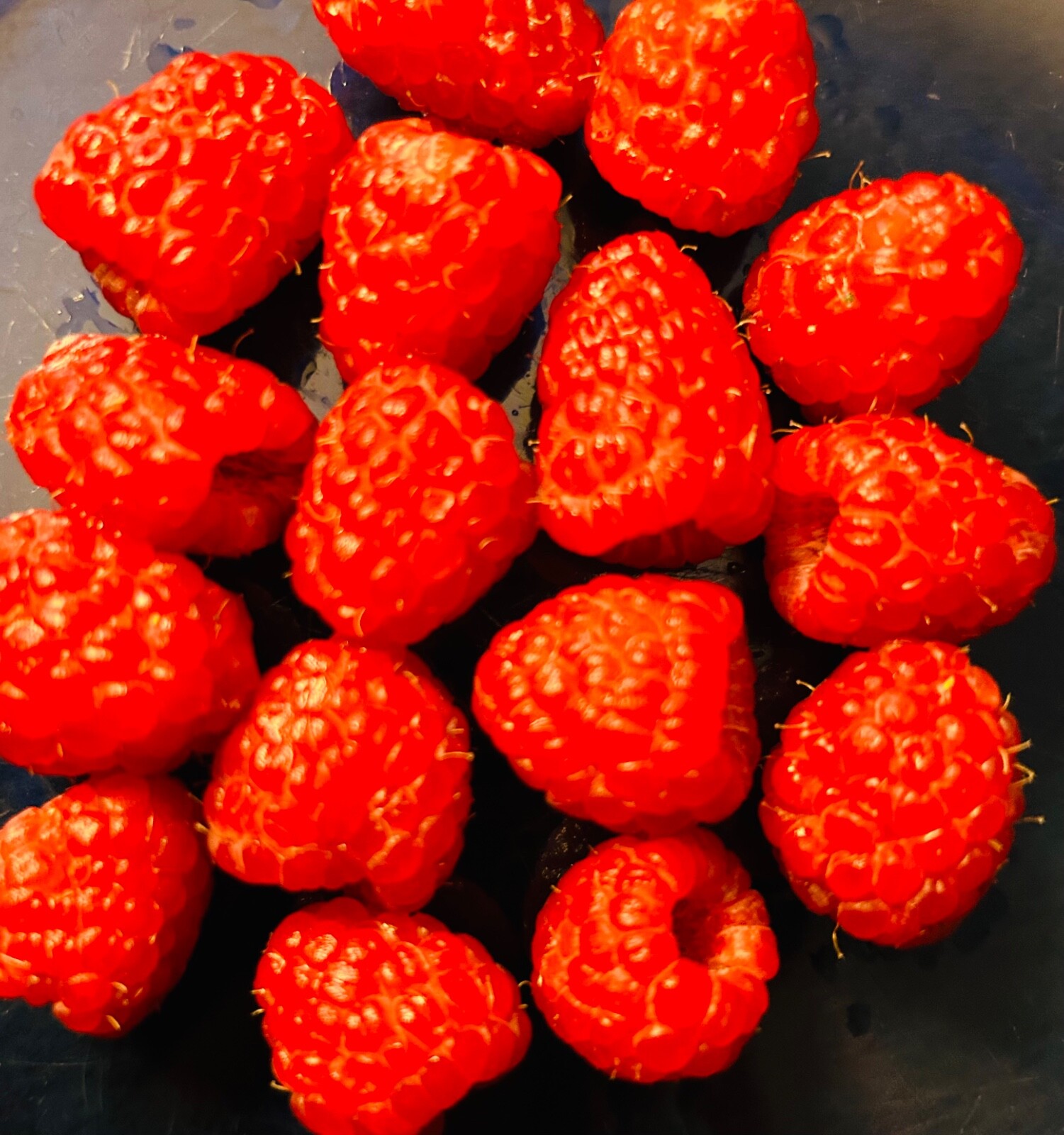 50+PCS Red Raspberry {Rubus idaeus} seeds NON-GMO Free Shipping! gallery