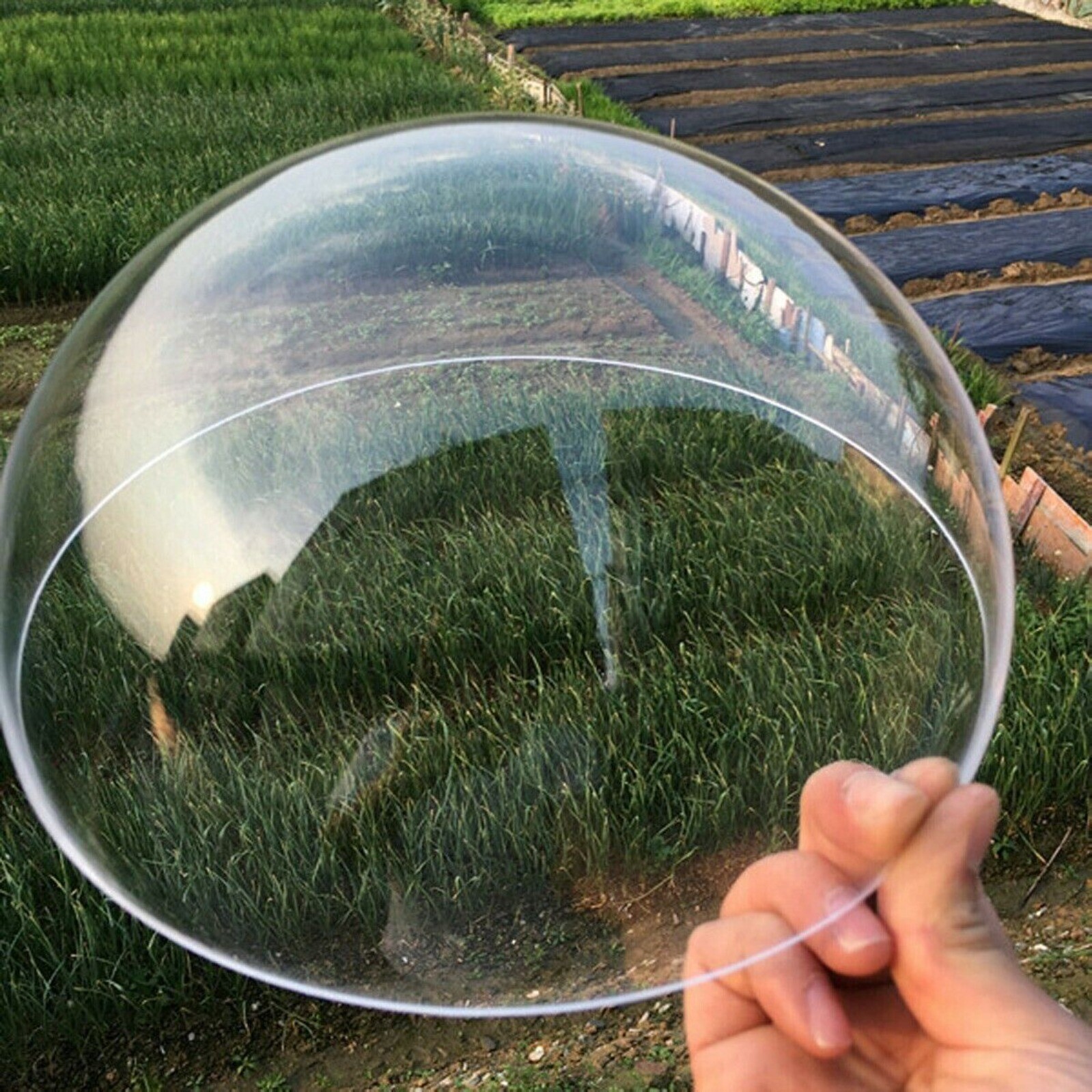 Diameter 100-300mm Acrylic PMMA Clear Dome Shape Rimless Dust Cover Select Size gallery