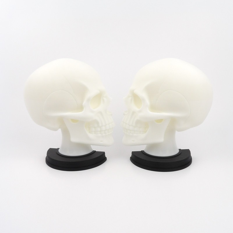 3D Printed Gothic Skull Bookend Anatomical Bone White Matte Black Macabre Decor gallery