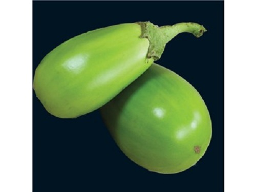 25 APPLEGREEN EGGPLANT Green Fruit / Vegetable Solanum Melongena Seeds *Comb S/H gallery