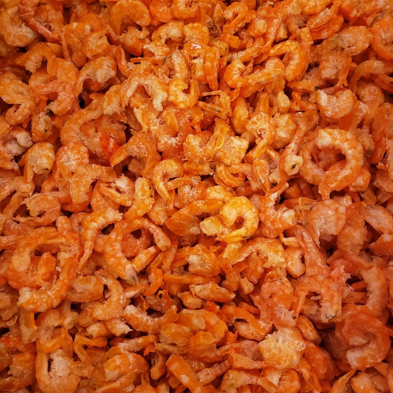 High Quality Small Dried Shrimp Seafood 蝦米 1LB - Free Shipping US Seller !!! gallery