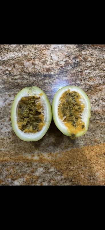 Qinmi No. 9" 钦蜜9号 黄金百香果 passion fruit Vine Cutting 10 To 15 Inch gallery