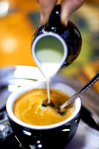 2026 Cafe' Puerto Rico - Fresh Roasted - Puerto Rican - Coffee Beans - 12 oz gallery