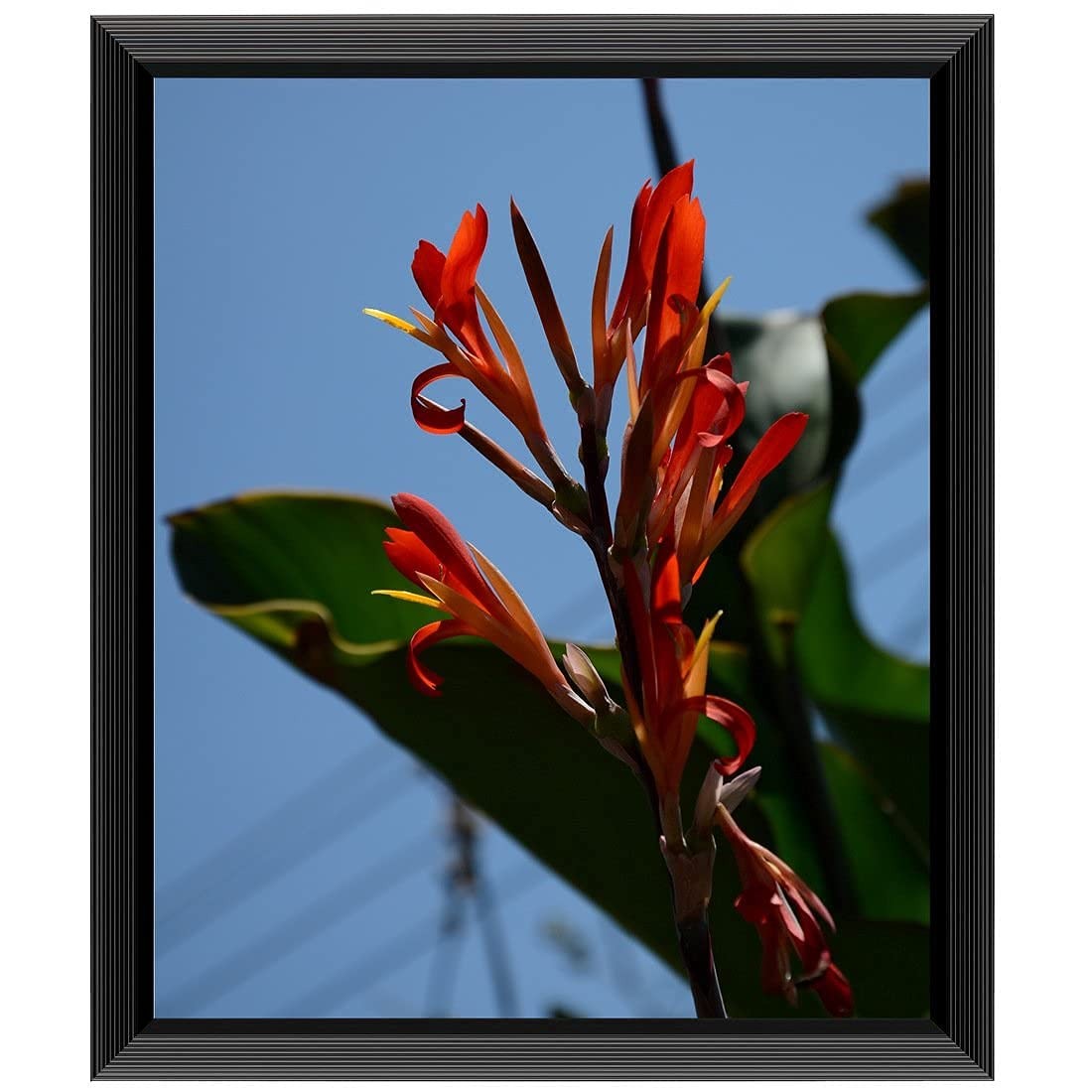 Uzifa 10x12 Picture Frame, Black Engineered Wood Photo Frame for Wall Display gallery