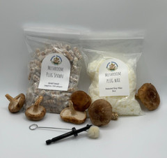 Shiitake Mushroom Plug Spawn 100x & drill bit/wax combo pack – FREE USA shipping